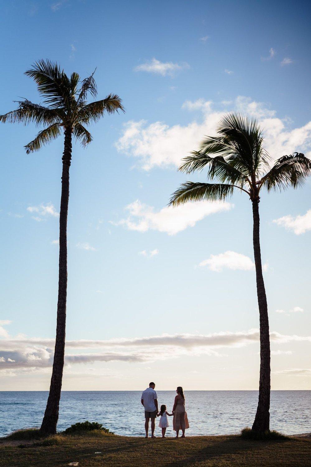 carousel-hero-element image-8